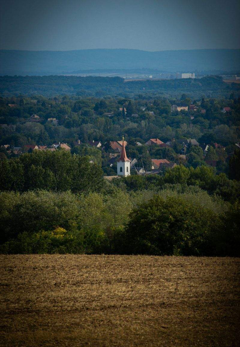 フラワーアレンジメント講座